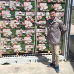 Turkish red delicious apples in telescopic carton boxes loaded in 40 ft Reefer container