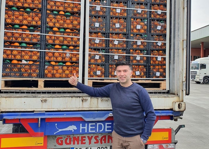 Turkis Orange Loaded in 40 ft Reefer Container